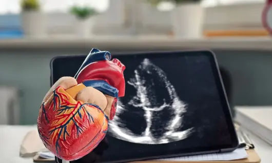 Top 5 ecocardiógrafos recomendados por cardiólogos en clínicas privadas